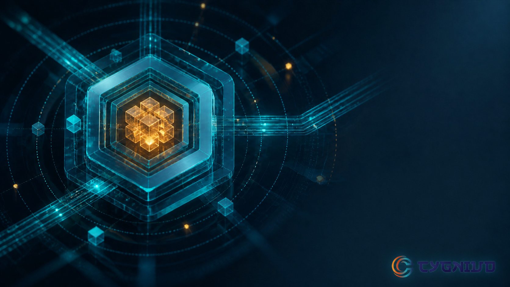 Application security, vulnerability control and trusted access